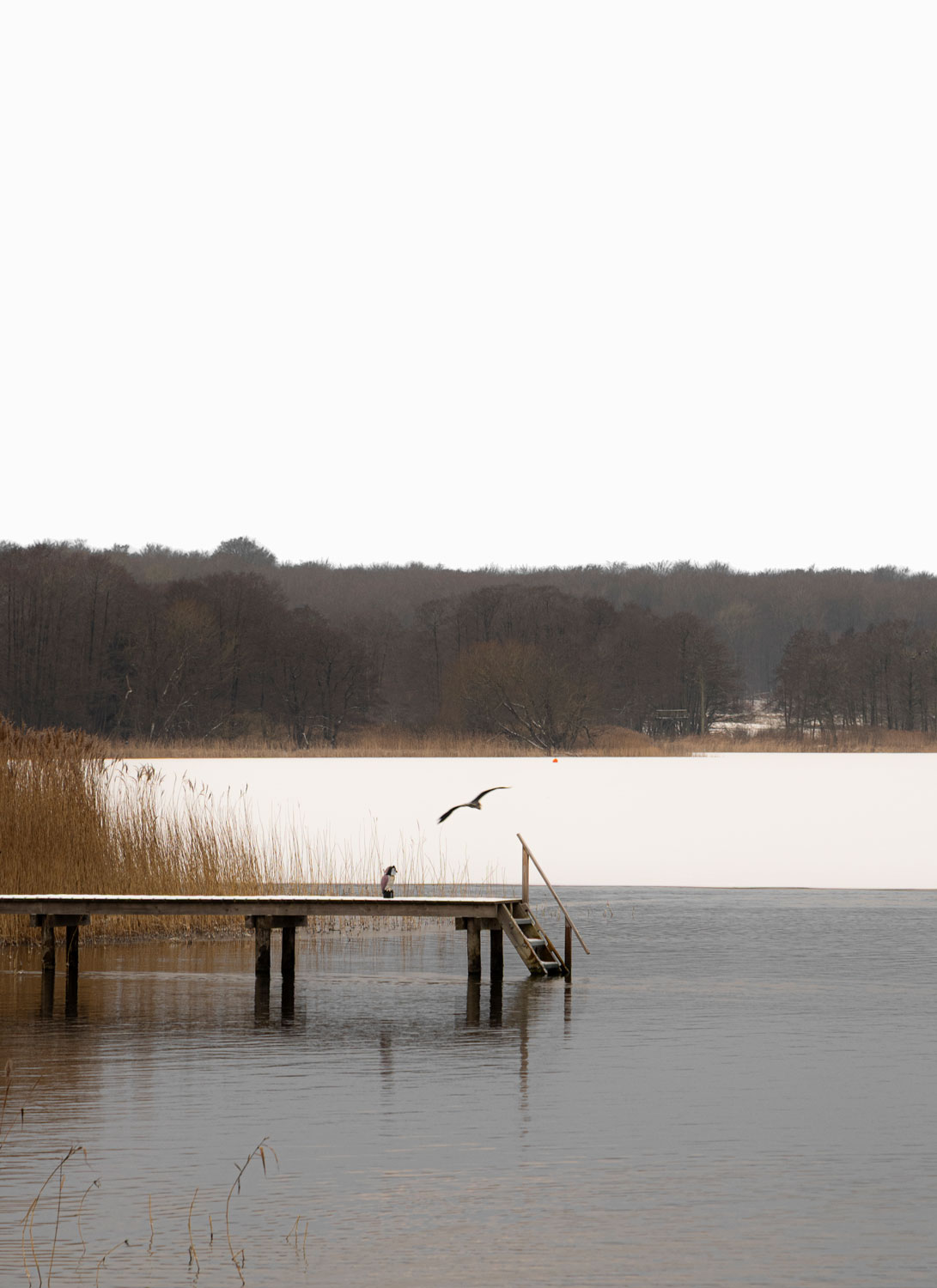 Quiet lake, dock, reeds, and winter shoreline used for lake house remodel planning context